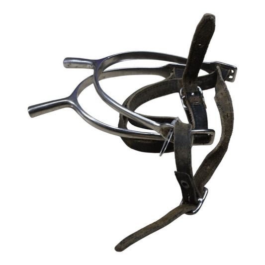 Prince of Wales in Stainless Steel - 1 1/4"