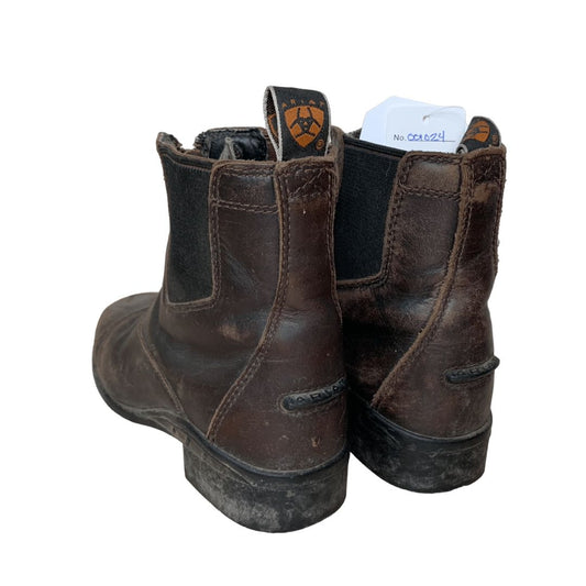 Ariat 'Devon' Front Zip Paddock Boots in Brown - 13