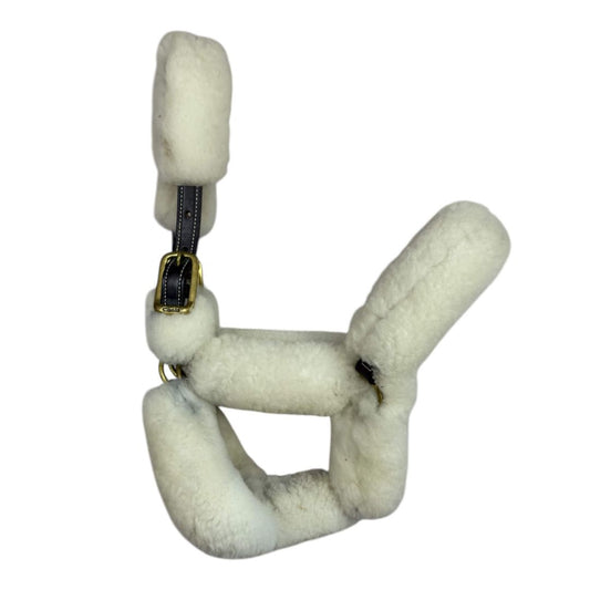 Walsh Shipping Halter in Brown - Cob