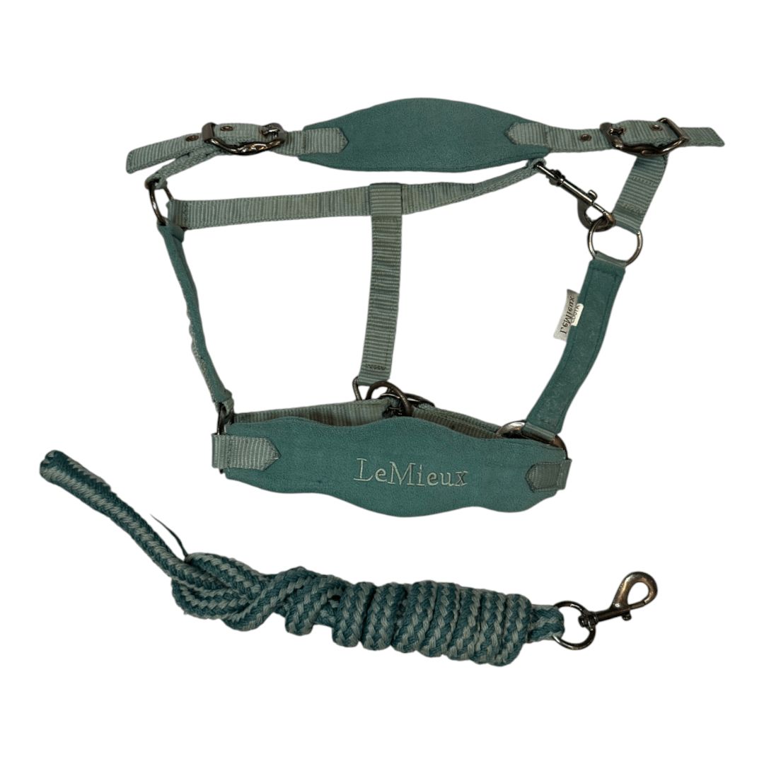 LeMieux 'Vogue' Halter & Lead Rope in Sage - Cob