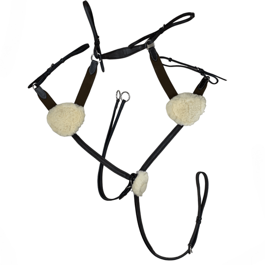 Nunn Finer 5-Way Breastplate in Havana - Full