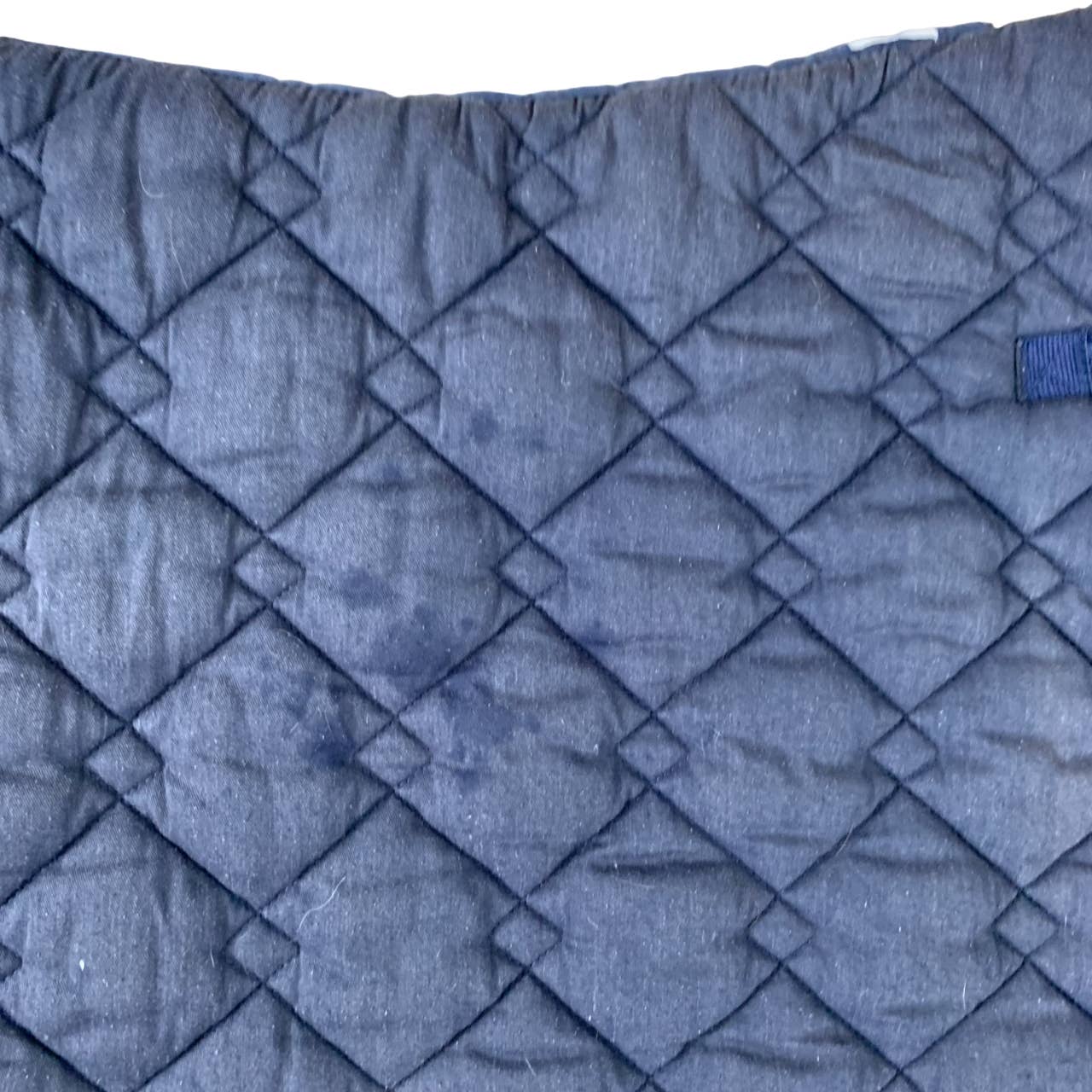 Roma All Purpose Saddle Pad in Navy - Full