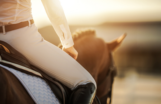 Tack with a Story: Why Consignment is Every Equestrian’s Secret Weapon