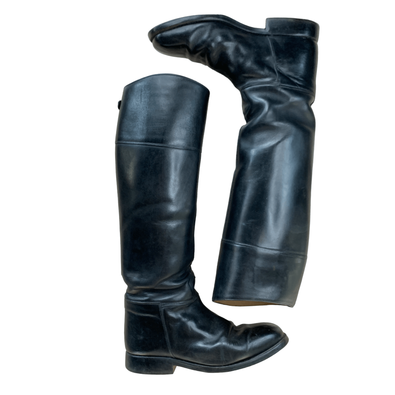 Cavallo Dress Boots in Black - Woman's 6.5