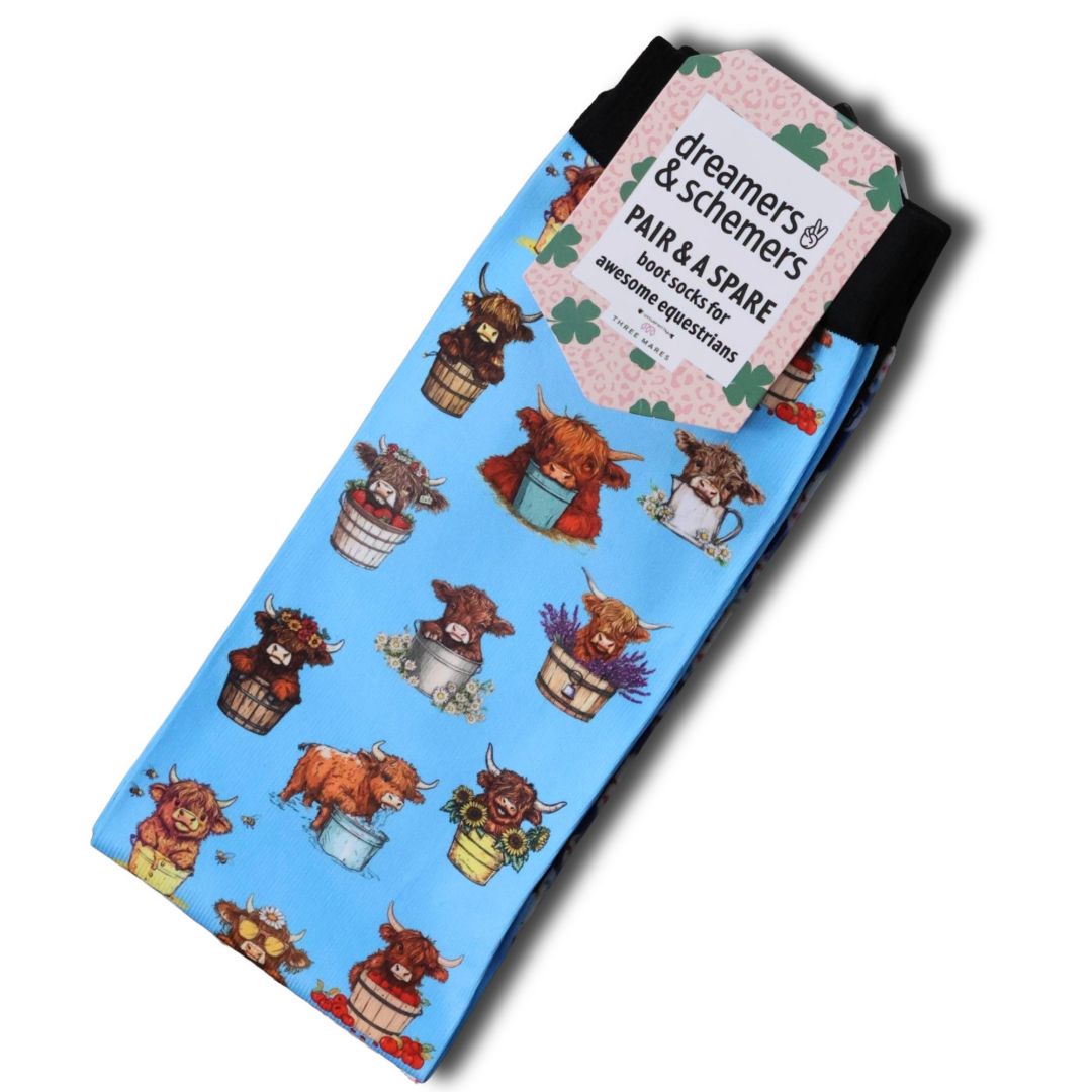 Dreamers & Schemers 'Highland Cow' Pair & a Spare Socks - Adult