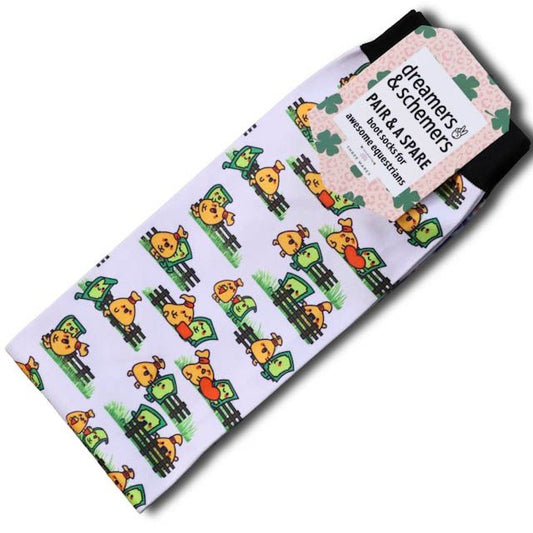 Dreamers & Schemers 'Bank Account' Pair & a Spare Socks - Adult