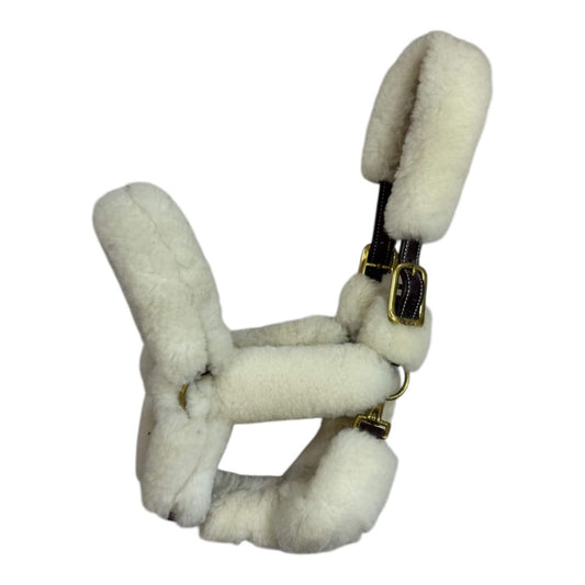 Walsh Shipping Halter in Brown - Cob