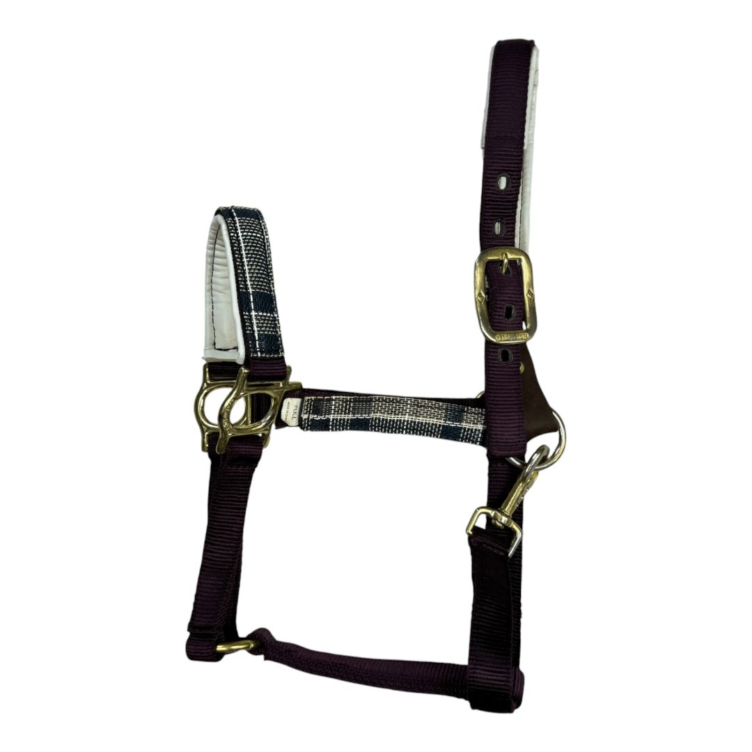 Kensington Breakaway Nylon Halter with Textilene in Purple - Full