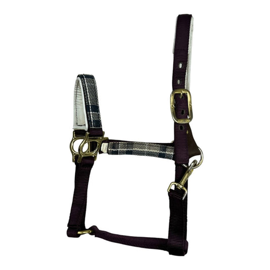 Kensington Breakaway Nylon Halter with Textilene in Purple - Full
