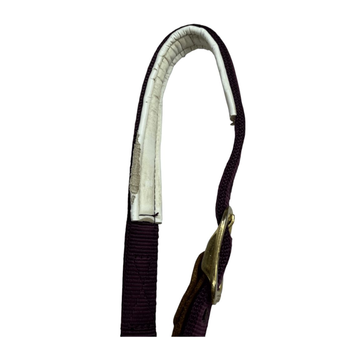 Kensington Breakaway Nylon Halter with Textilene in Purple - Full