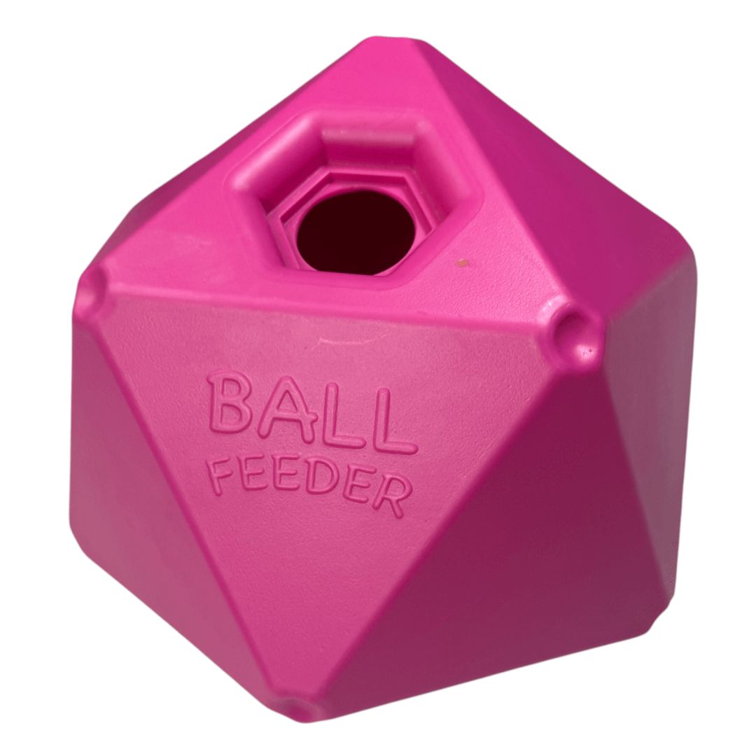 Schneiders Treat Ball Feeder in Pink