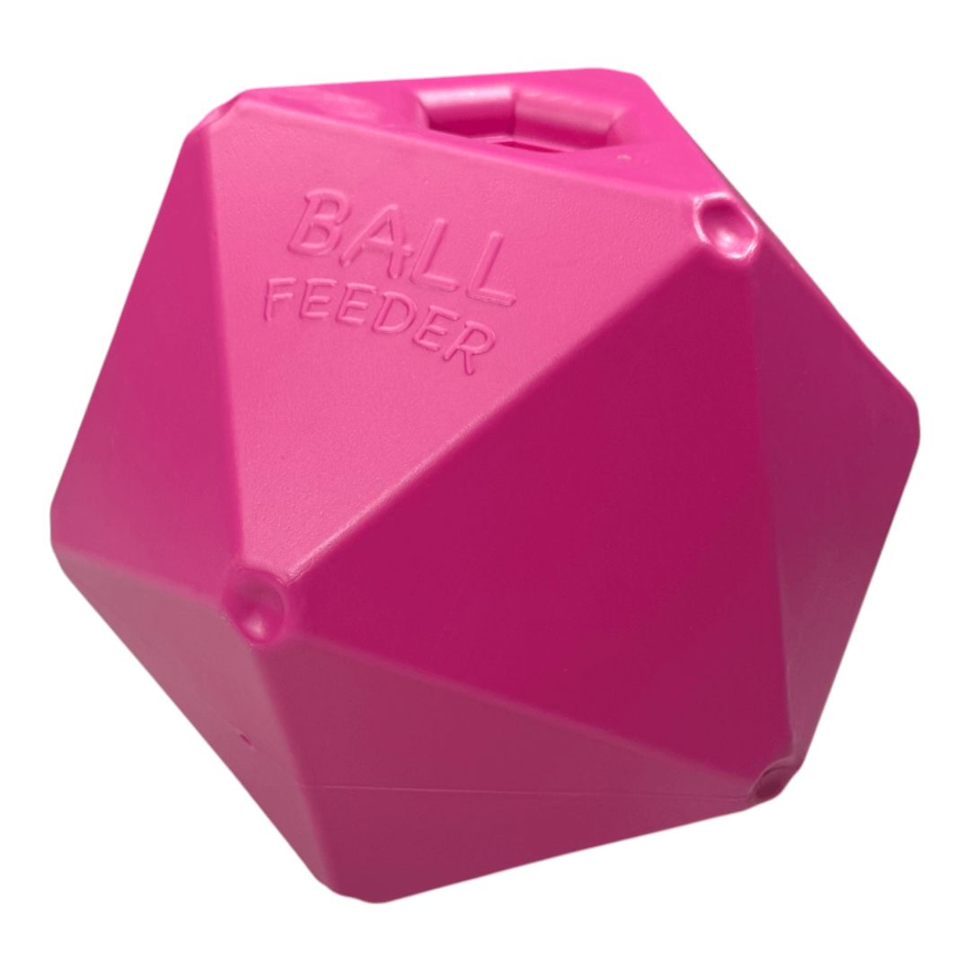 Schneiders Treat Ball Feeder in Pink