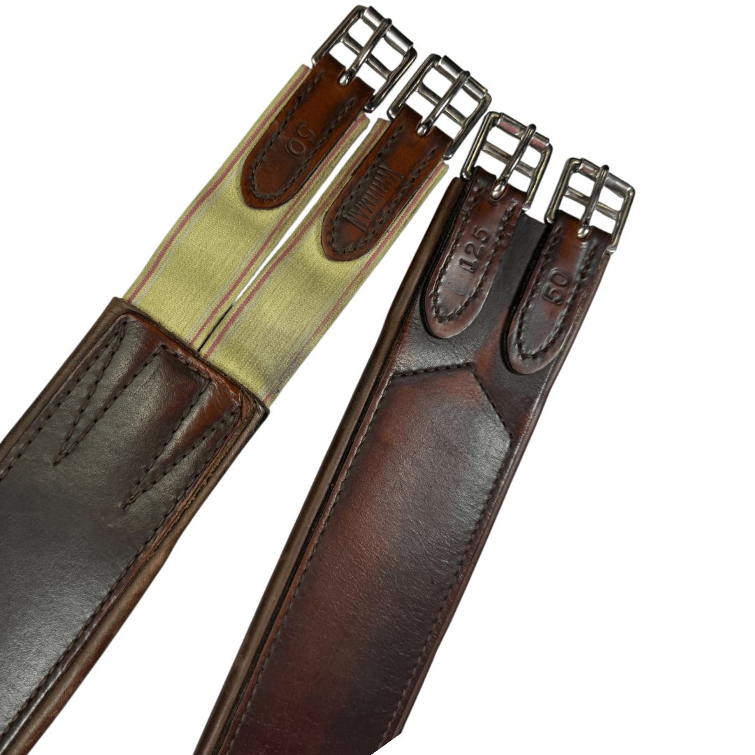 Whitman Hunter Girth in Havana - 50"