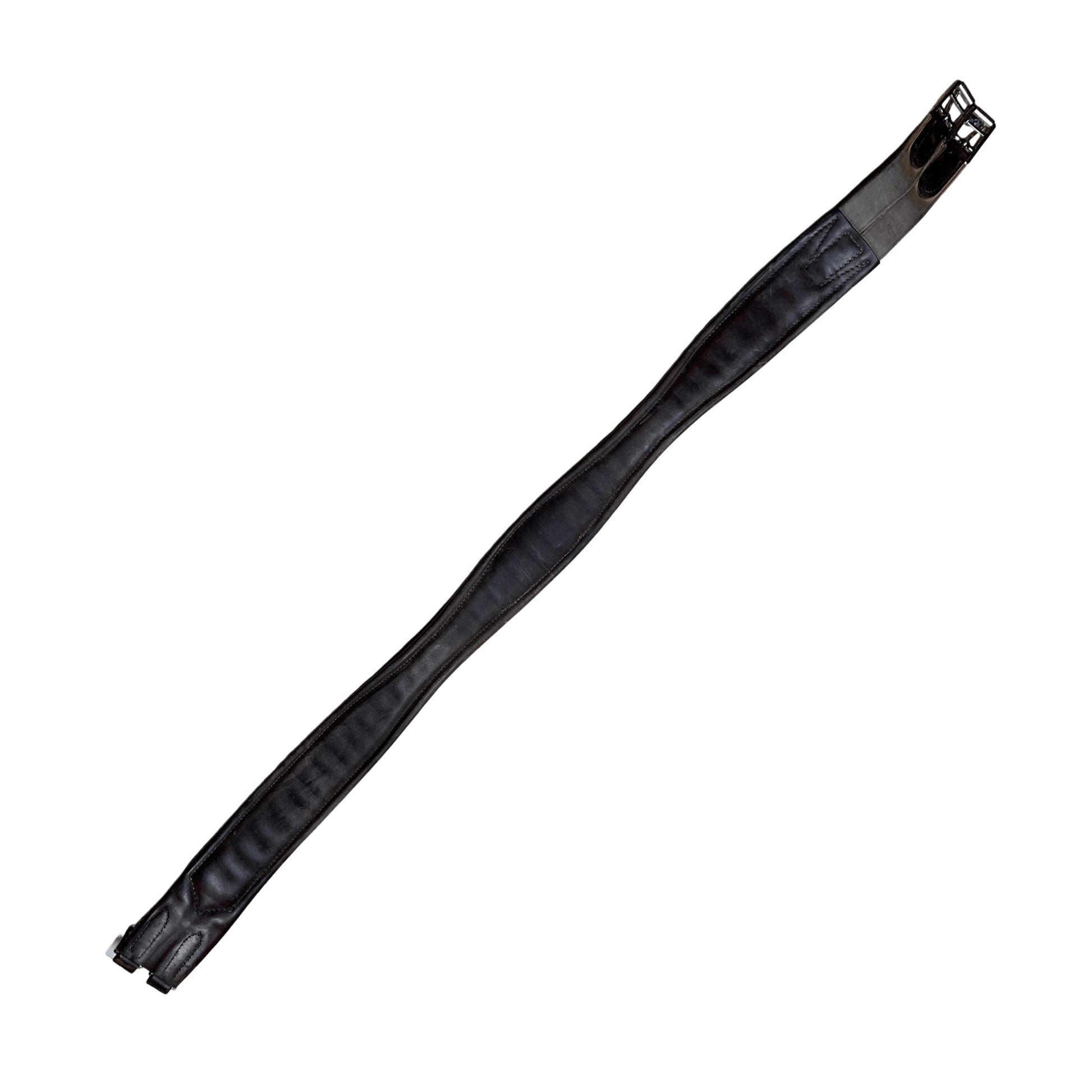 Padded Hunter Girth in Havana
