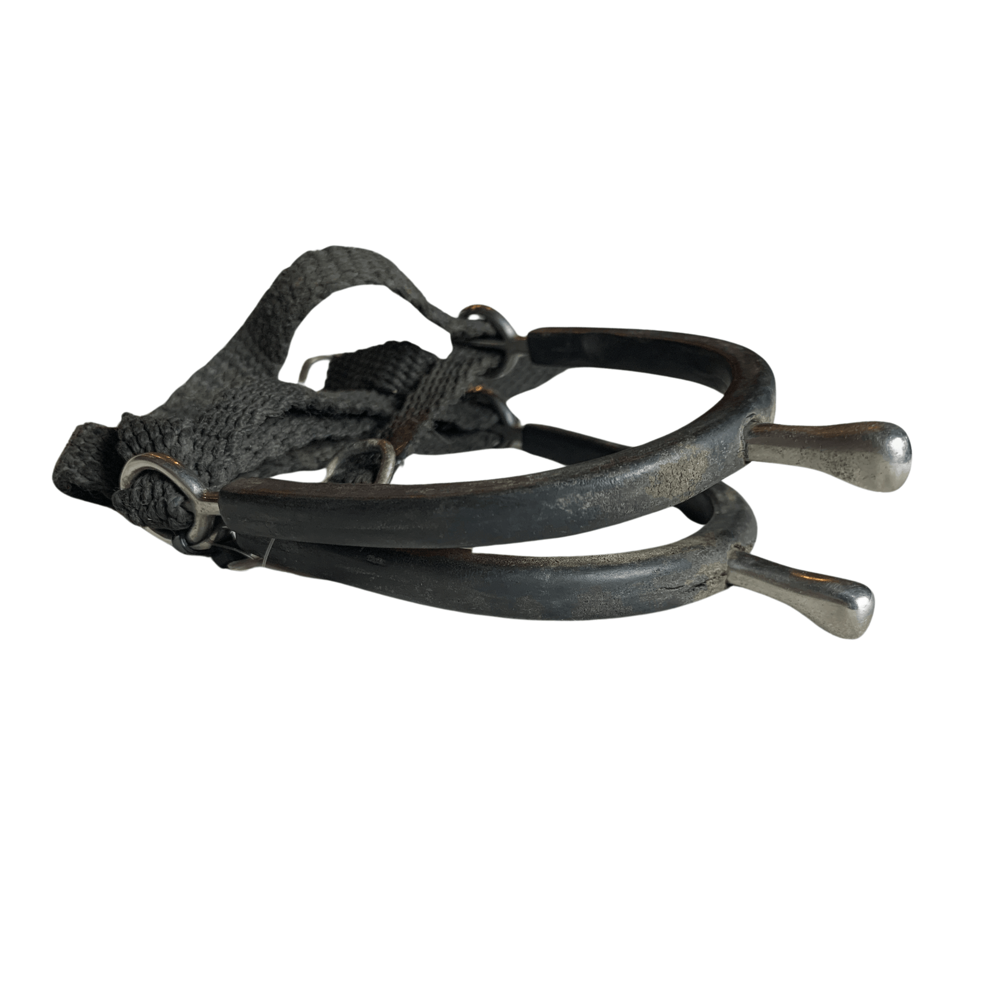 Rubber Covered Prince of Wales Spurs in Stainless Steel 