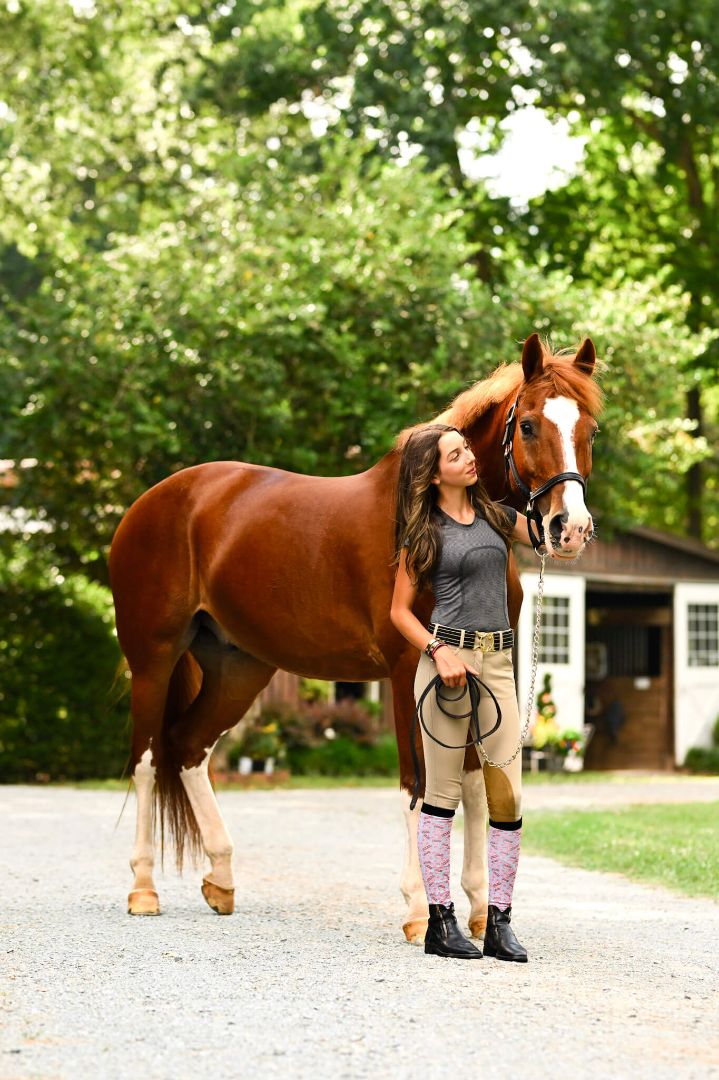 Dreamers & Schemers Cute but Chestnut Pair & Spare in  -