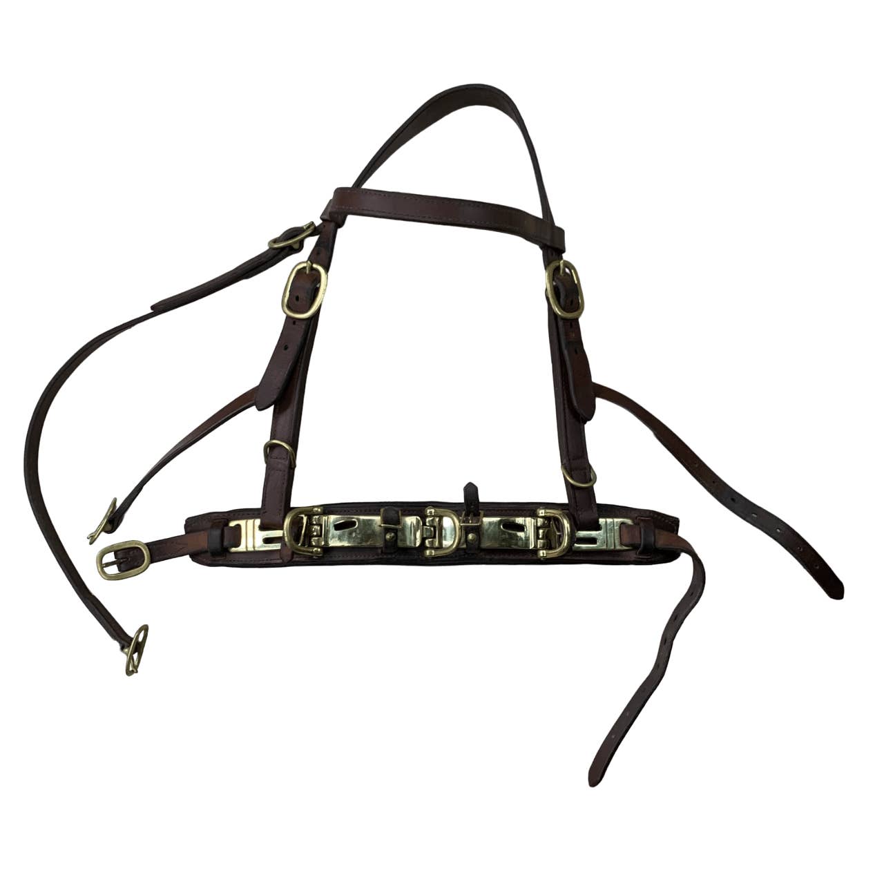 German Leather Lunging Cavesson in Brown Full Banner Bay Tack