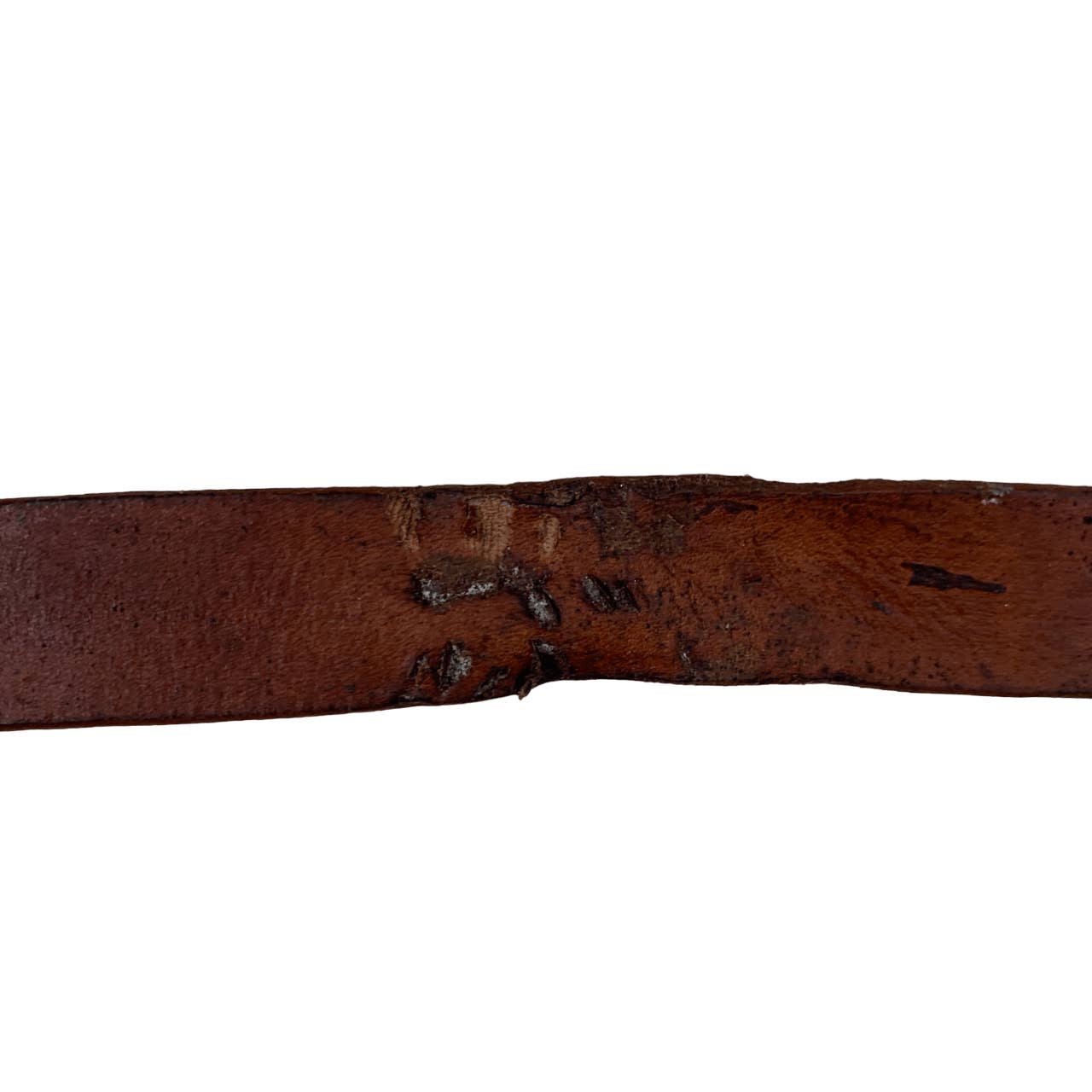 Leather Show Lead Rope with Stud Chain - 81"