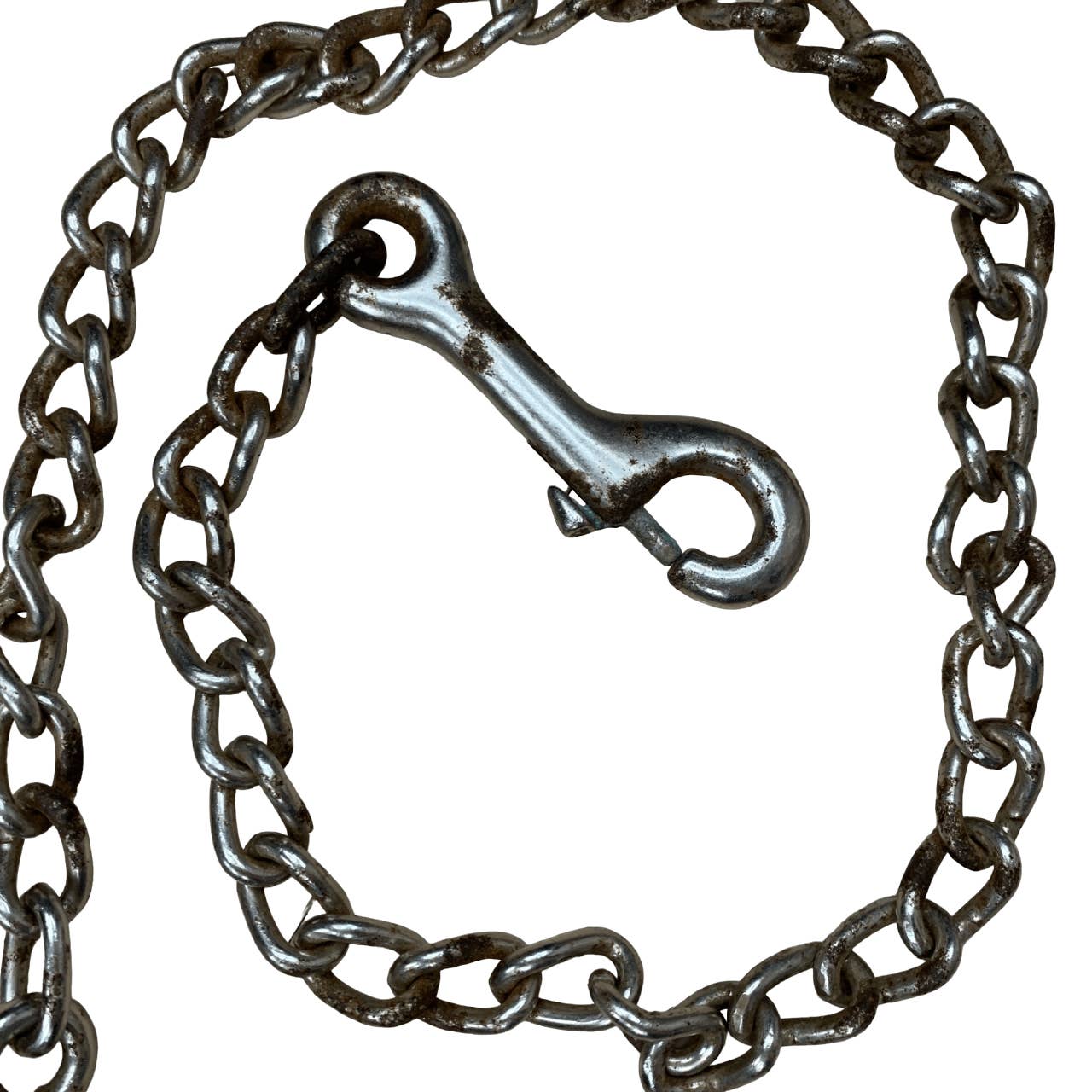 Leather Show Lead Rope with Stud Chain - 81"