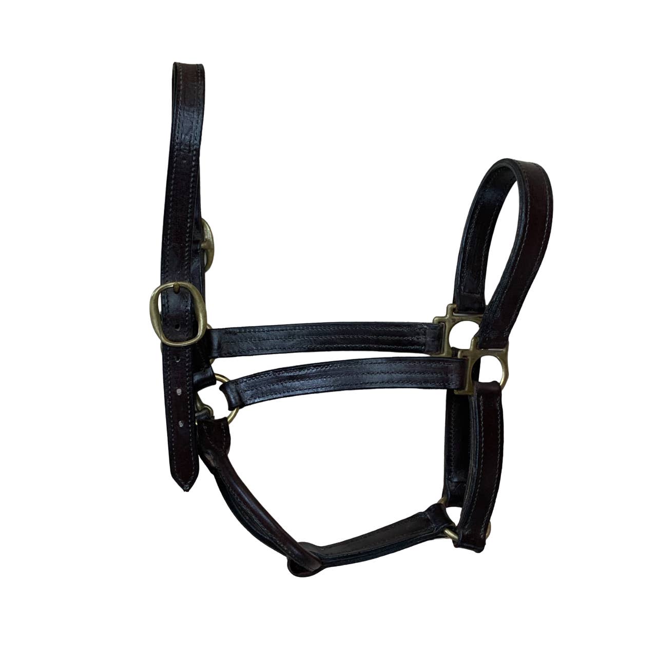 Courbette Leather Halter in Brown - Full