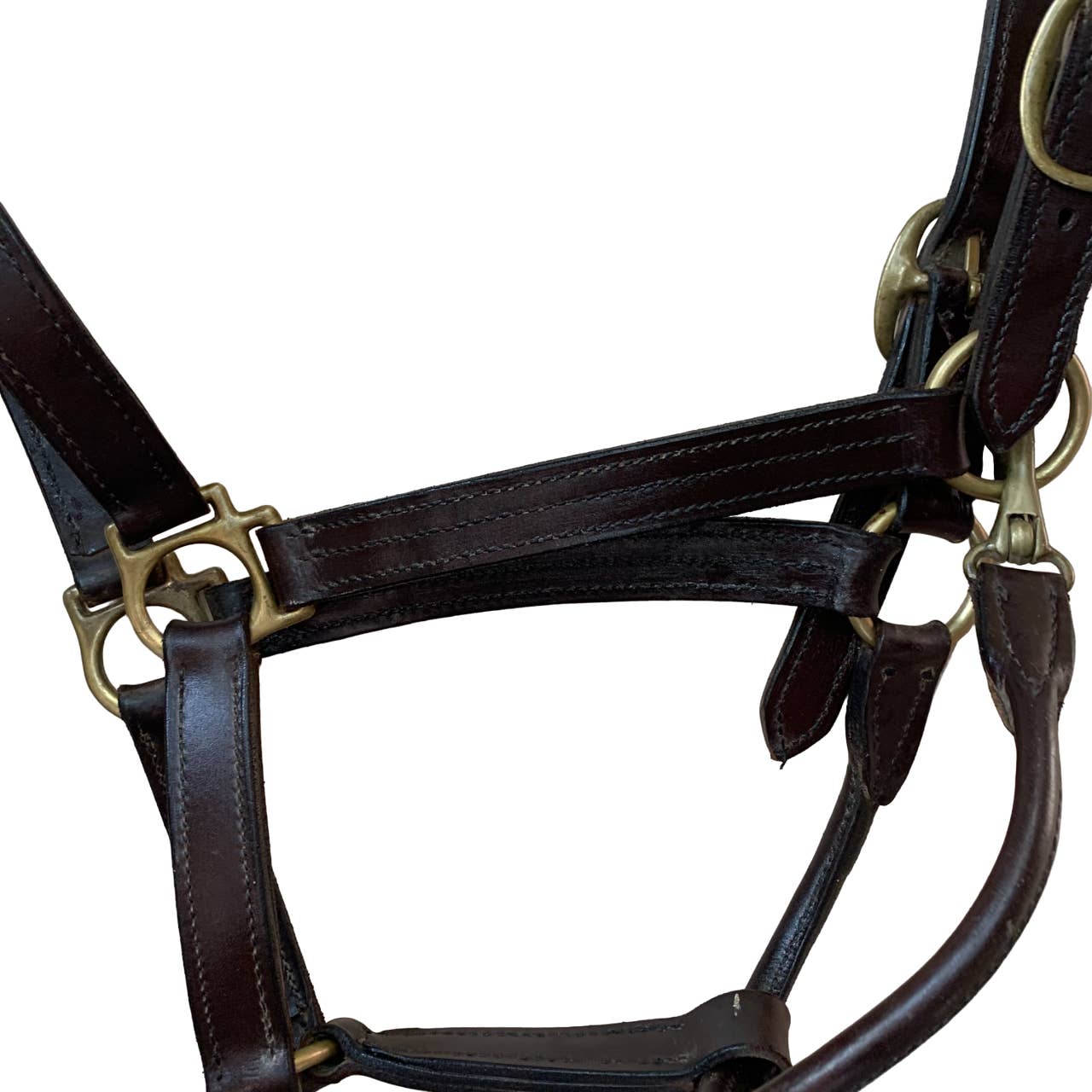 Courbette Leather Halter in Brown - Full