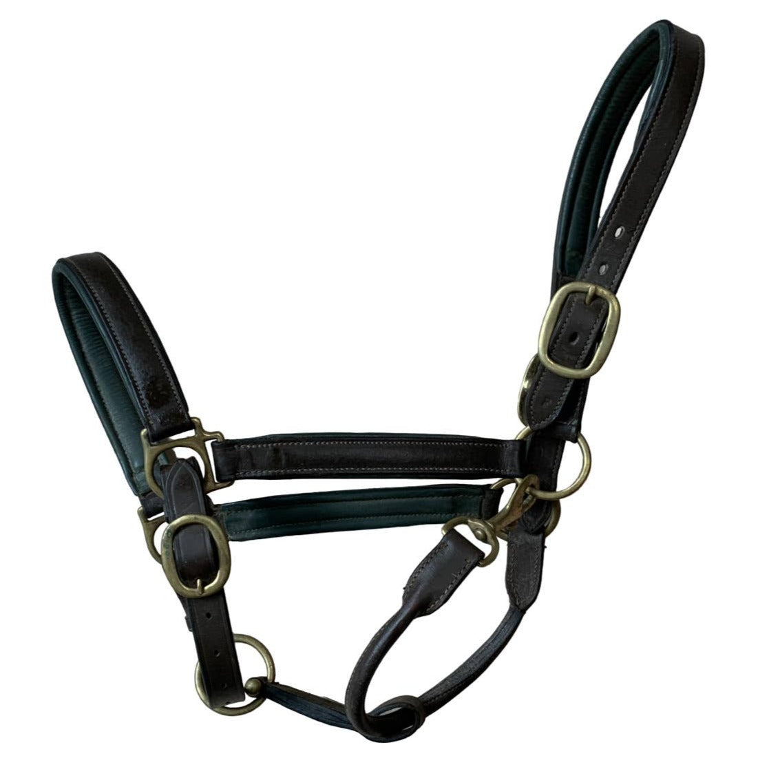Leather Padded Halter in Brown - Full